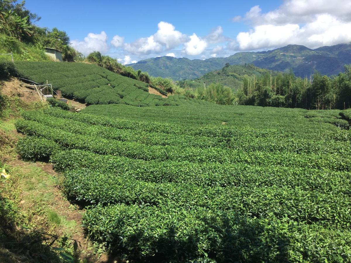 Youlin Homestay Meishan 외부 사진